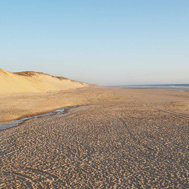 Camping Biscarrosse